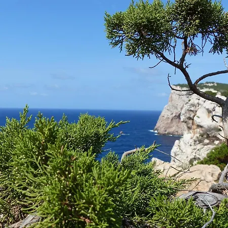 Apartment In Sardinia Near Spiaggia Salina Beach, Cleaning Included * Olbia